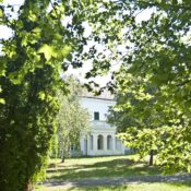 Bábolna Nyár (Kárpáti Iván fotói)