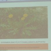 Előadás gyógynövényekről 06 – 2010-03-23