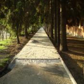 Jókai és Erzsébet utca felújítás