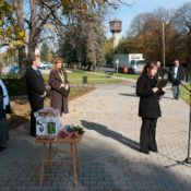 Jókai és Erzsébet utca felújítás