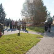 Jókai és Erzsébet utca felújítás